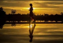 Walking to lose weight best exercise to lose weight 