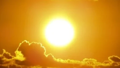 Vitamin D benefits, sources, and supplements